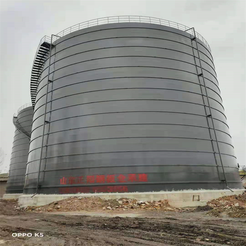 大祥3万吨大型钢板库